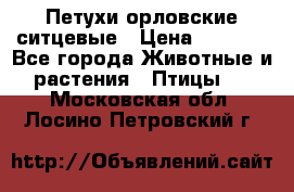 Петухи орловские ситцевые › Цена ­ 1 000 - Все города Животные и растения » Птицы   . Московская обл.,Лосино-Петровский г.